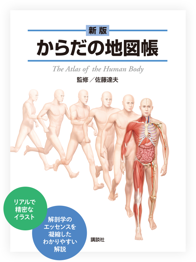 新版からだの地図帳｜The Atlas of the Human Body｜講談社