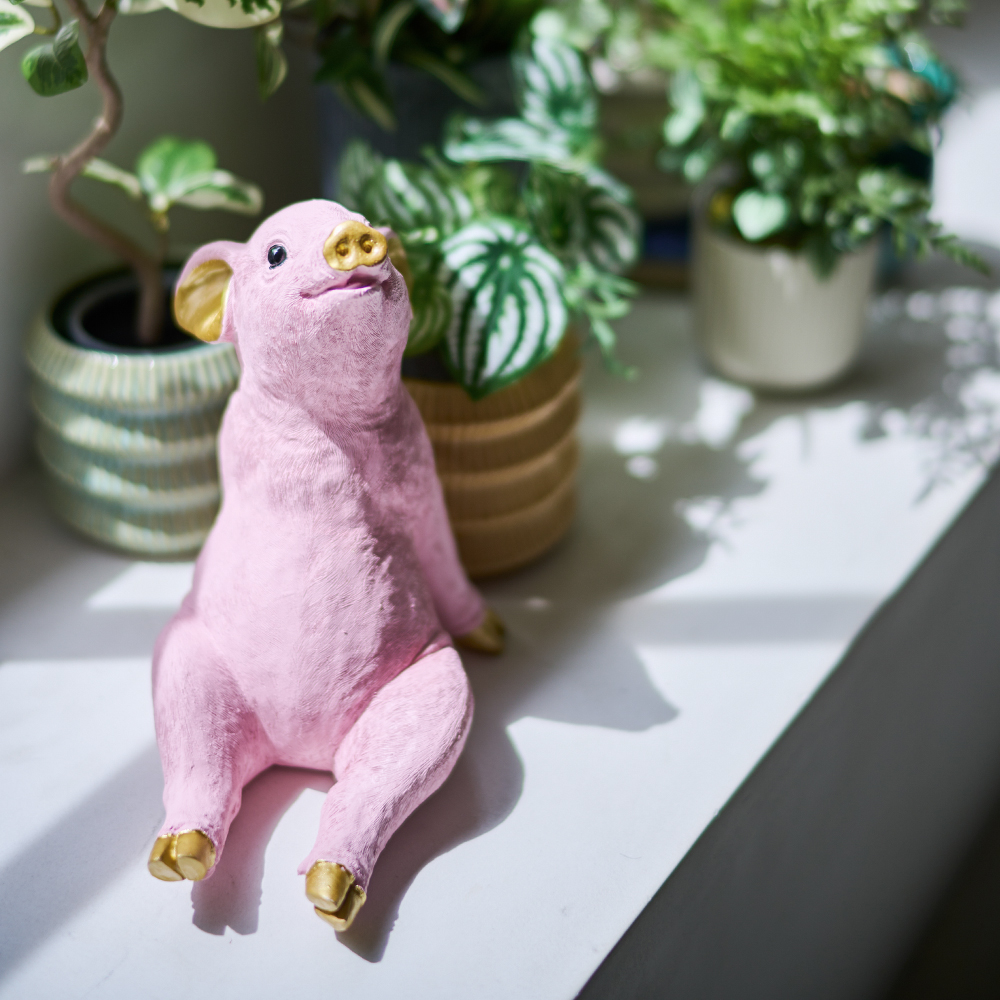 チラックス ピッグ マネーボックス - 貯金箱の通販 ｜【KARE】ドイツの