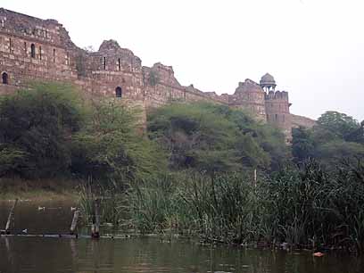 Castles in Notrh India 北インドの城