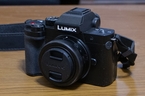 Panasonic LUMIX DC-G100D