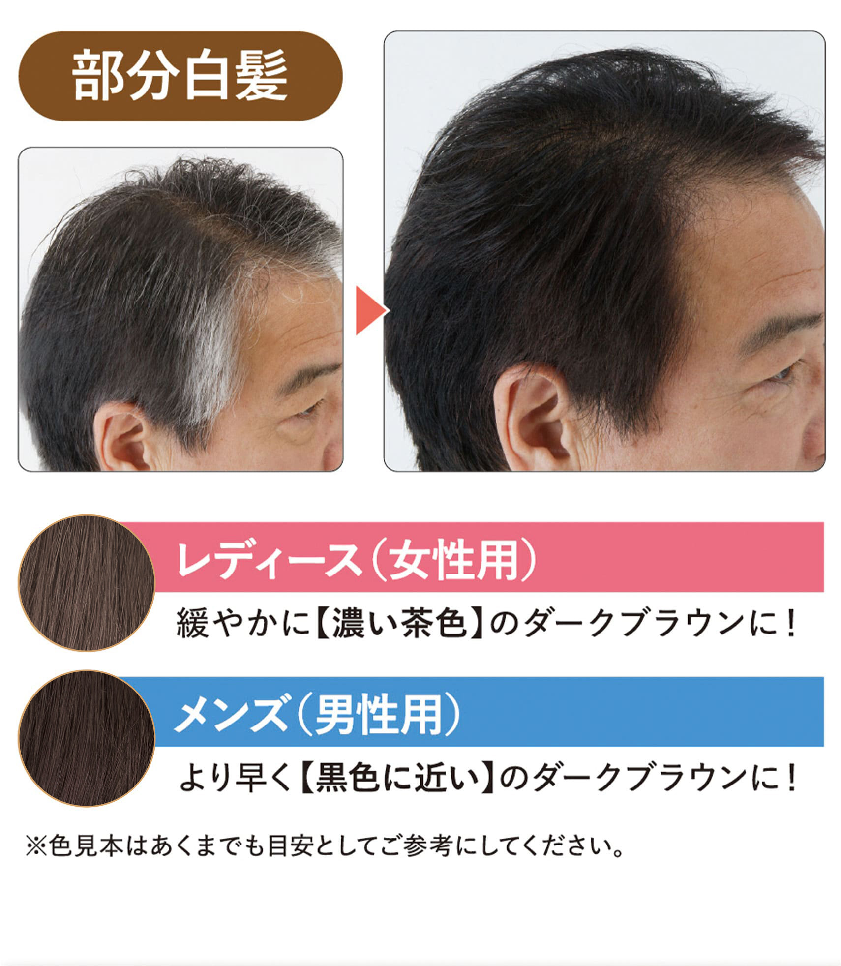 初回2本半額50%off 白髪染めサンカラーマックス① ｜ ケンコー公式