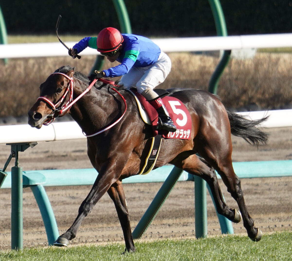 第90回中山記念 パンサラッサ 第90回中山記念 パンサラッサ 希代の逃げ