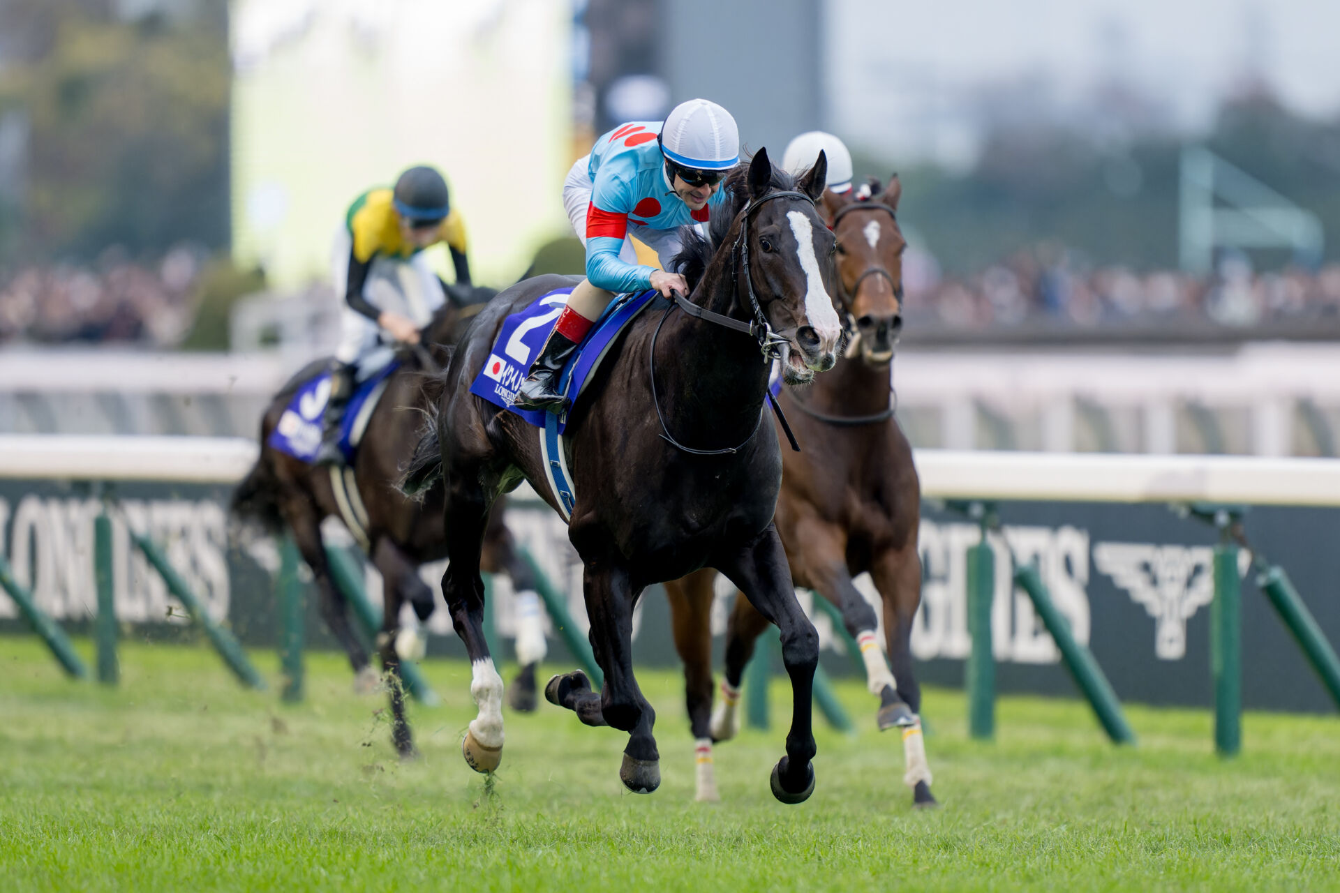 ジャパンカップ】ルメール「感動しました」イクイノックスがG1・6連勝