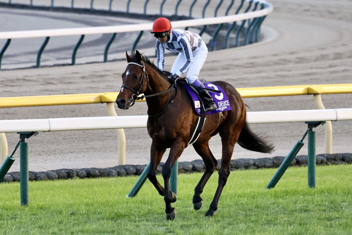 ジャパンカップ】武豊「手が痺れた」ドウデュースが完勝…ジョッキー