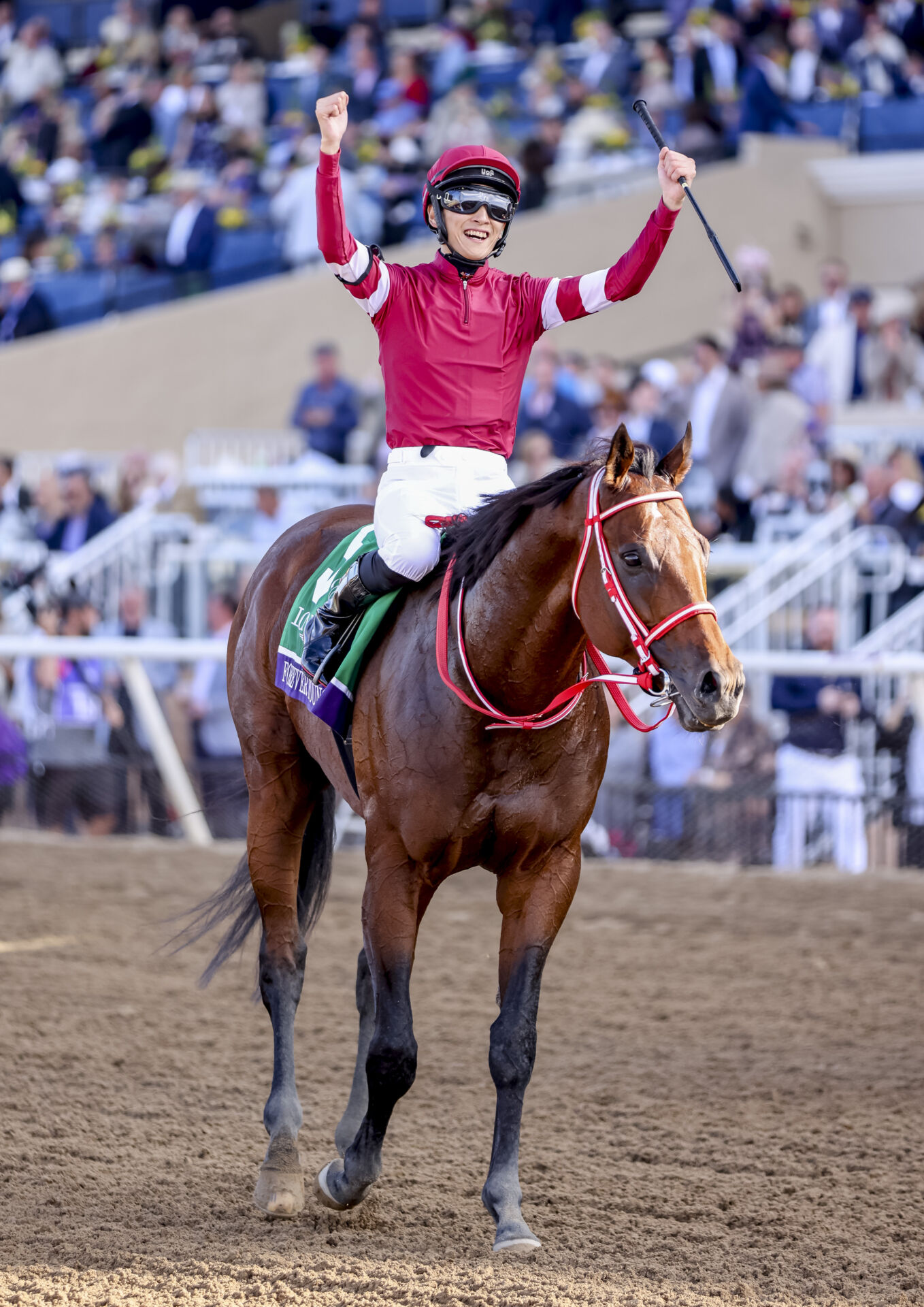 BCクラシック】フォーエバーヤング、世界制覇。坂井瑠「馬に感謝、全て