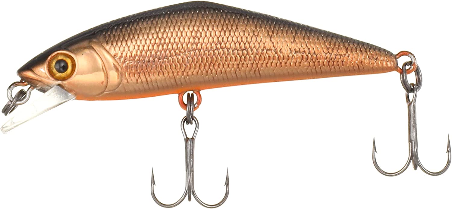 スミス「D-コンタクト50」に20周年記念カラーが登場！