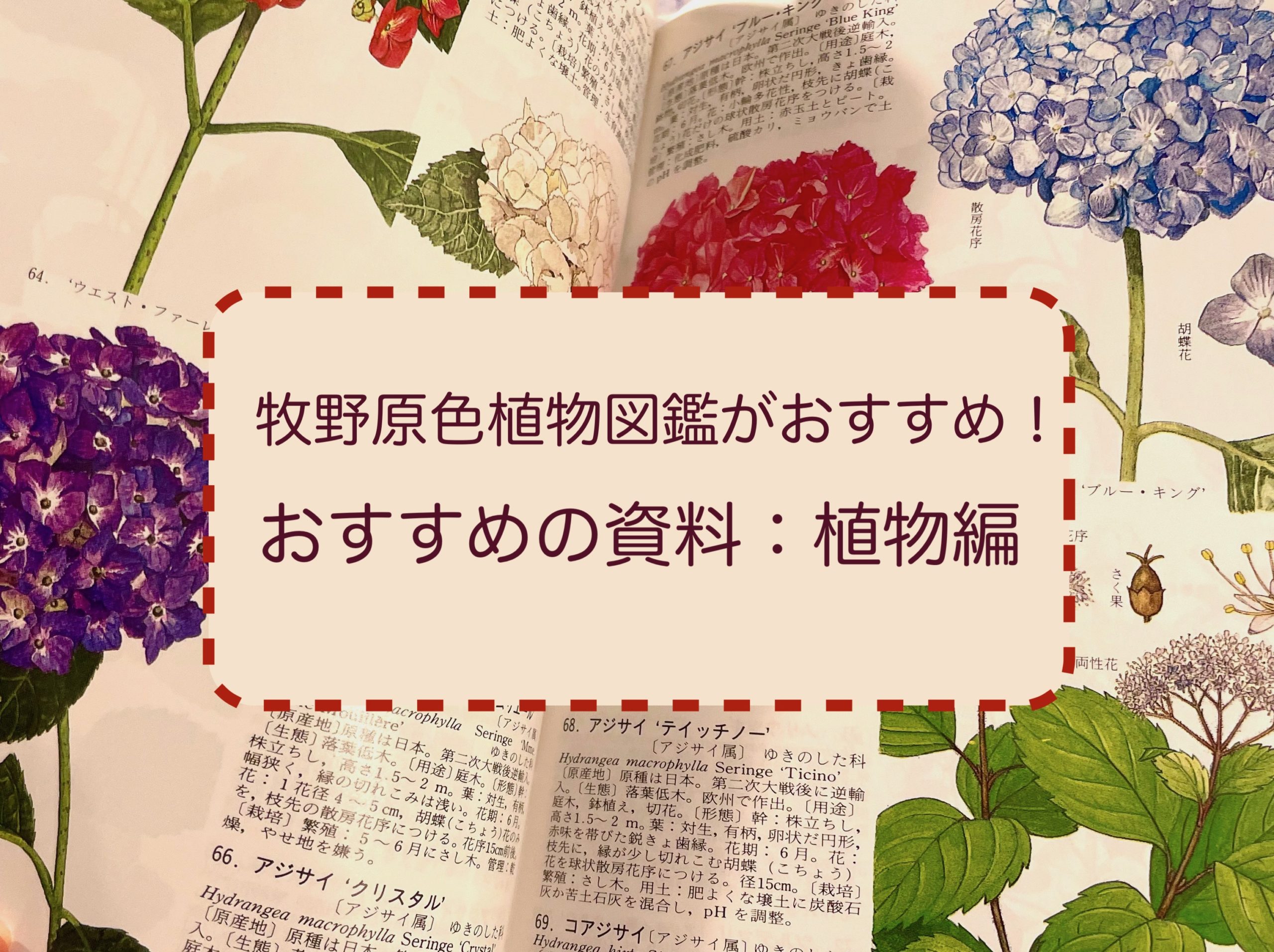 牧野原色図鑑がとてもおすすめ！おすすめの資料（植物編） | 枯葉庭園