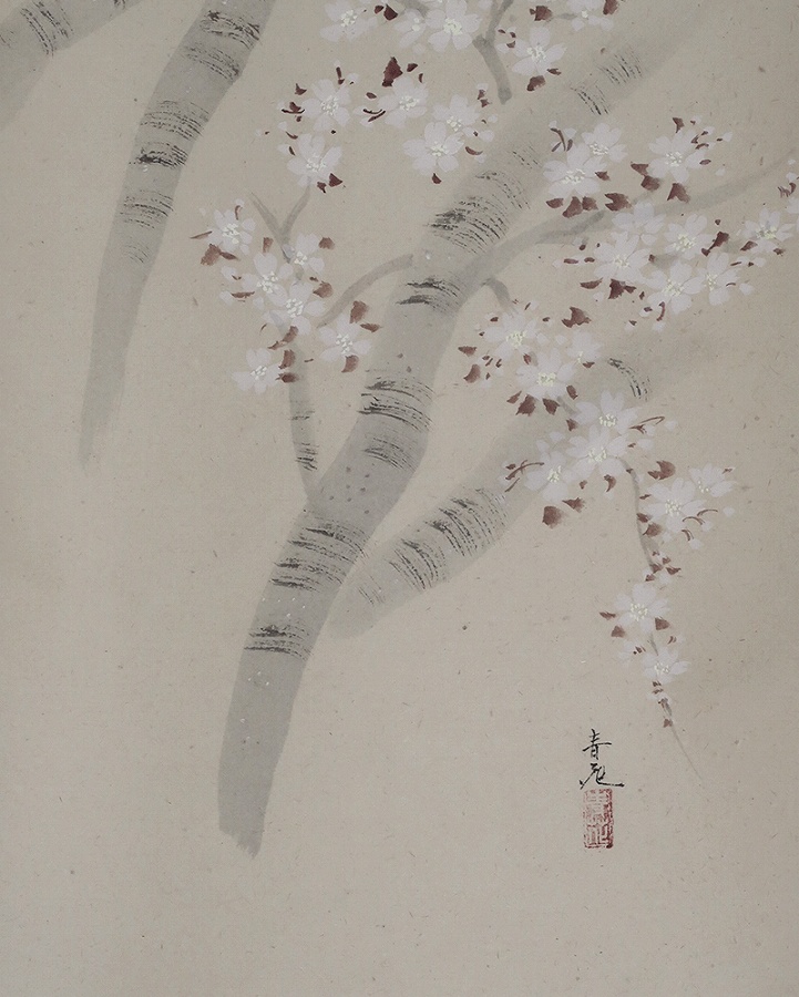 辰本青花 桜 | 掛軸(掛け軸)販売／表装ご依頼は掛軸いっぷく掛軸