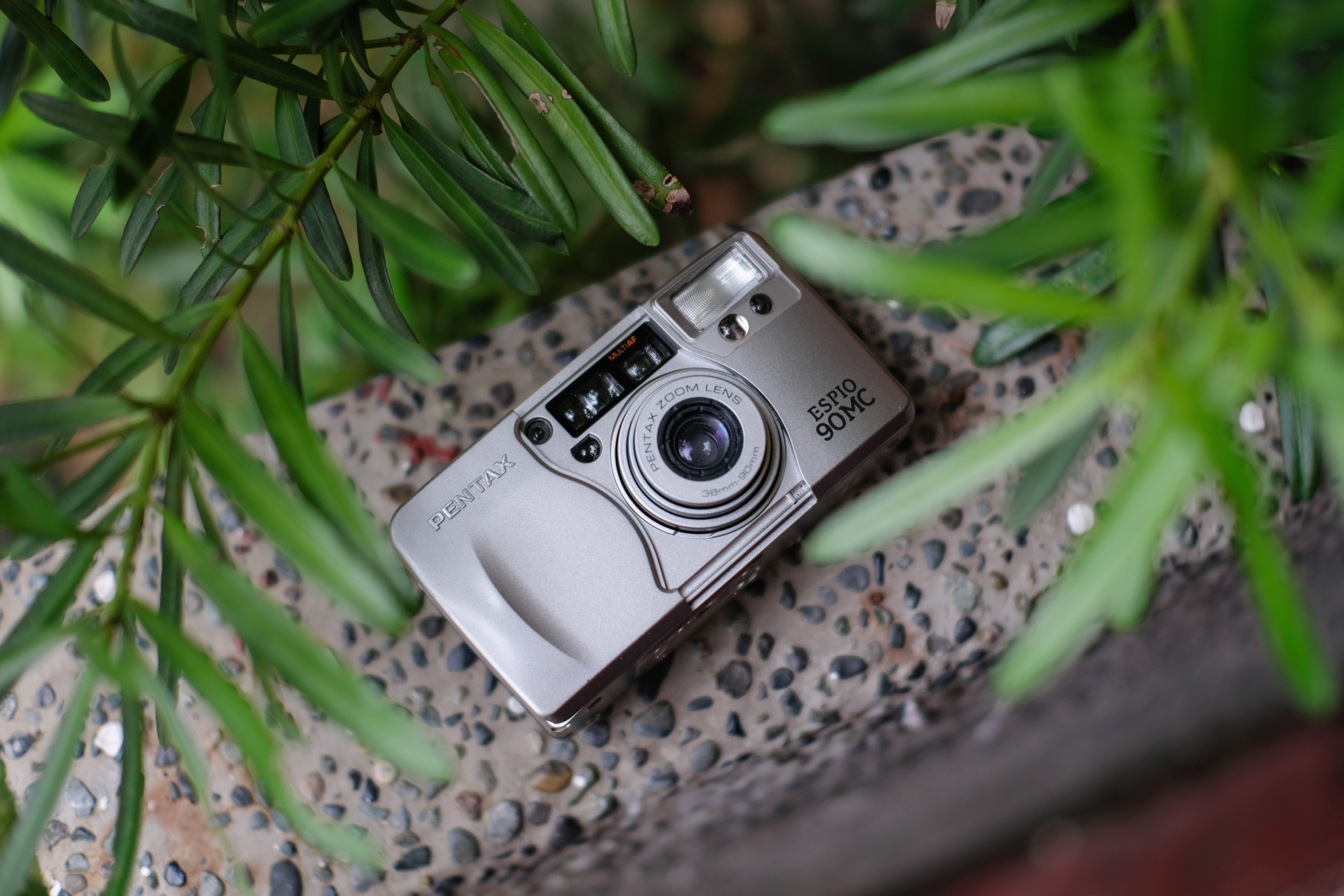 Pentax Espio 90MC – The everyday carry – King