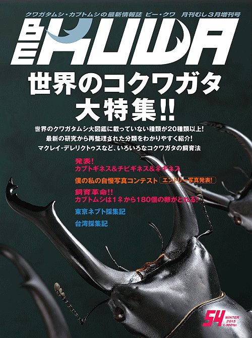 ビークワ54号（BE・KUWA） 世界のコクワガタ大特集!!