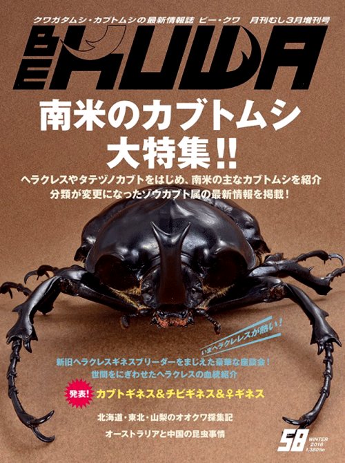 ビークワ58号（BE・KUWA） 発表! 南米のカブトムシ大特集!!