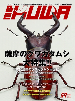 ビークワ59号（BE・KUWA） 薩摩のクワガタムシ大特集!!