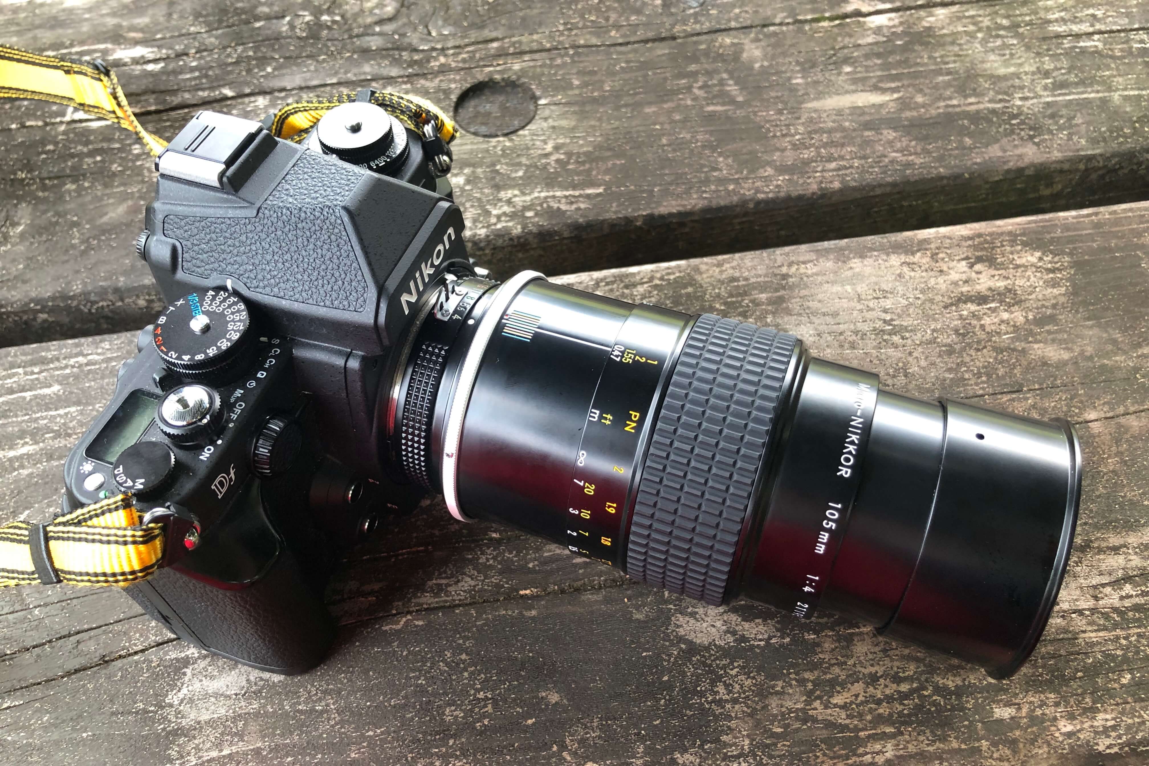 Ai-S Micro-Nikkor 105mm f4と試し撮り。これは気持ちのいい散歩レンズ