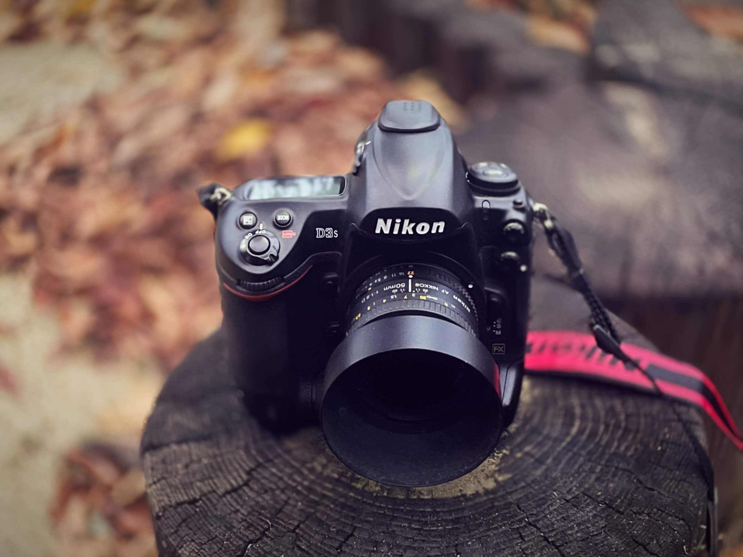 アナログ感が残るデジタル一眼レフ機は、趣味のカメラとしてはやはり