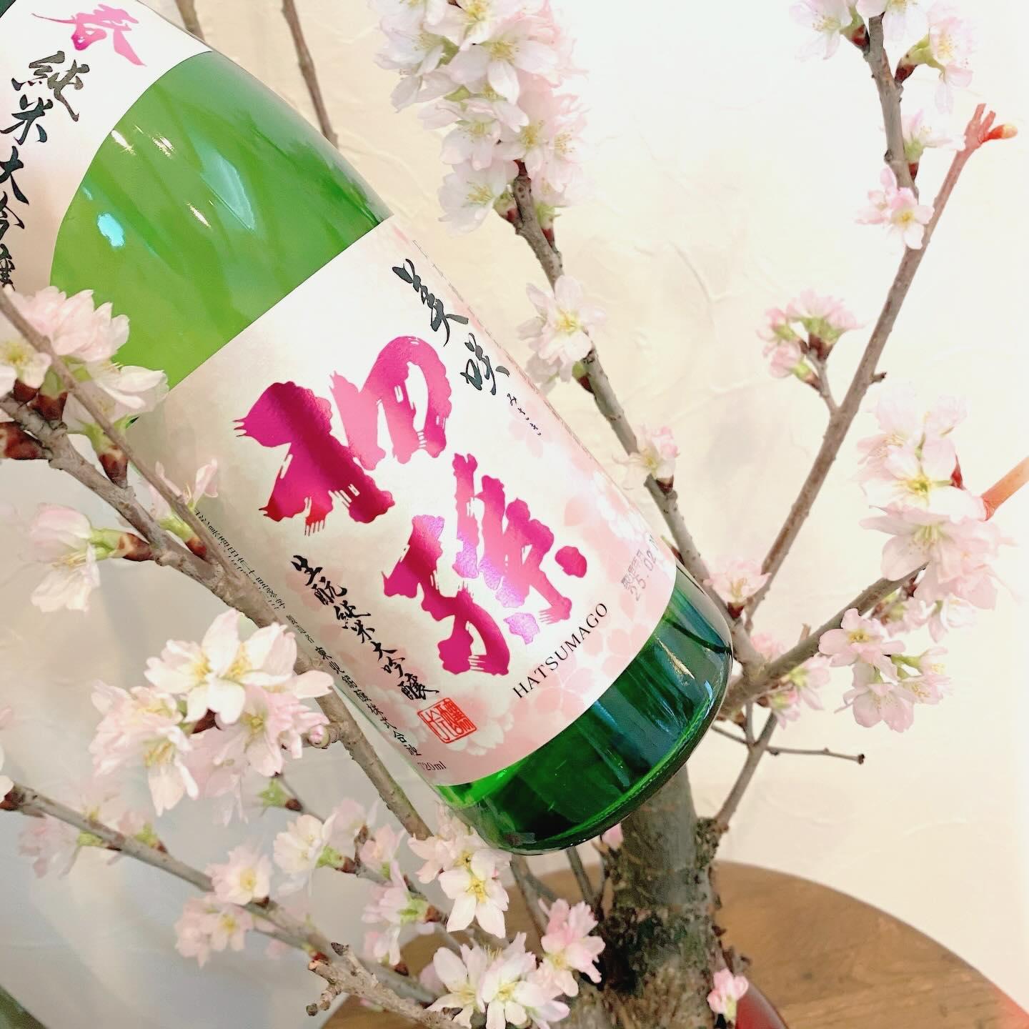 初孫 純米大吟醸 美咲 限定品 【山形の地酒/日本酒専門店 木川屋】