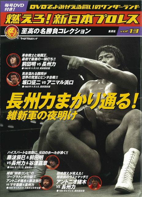 内容詳細リストアップしてみた「燃えろ！新日本プロレス」 | 昭和プロレス