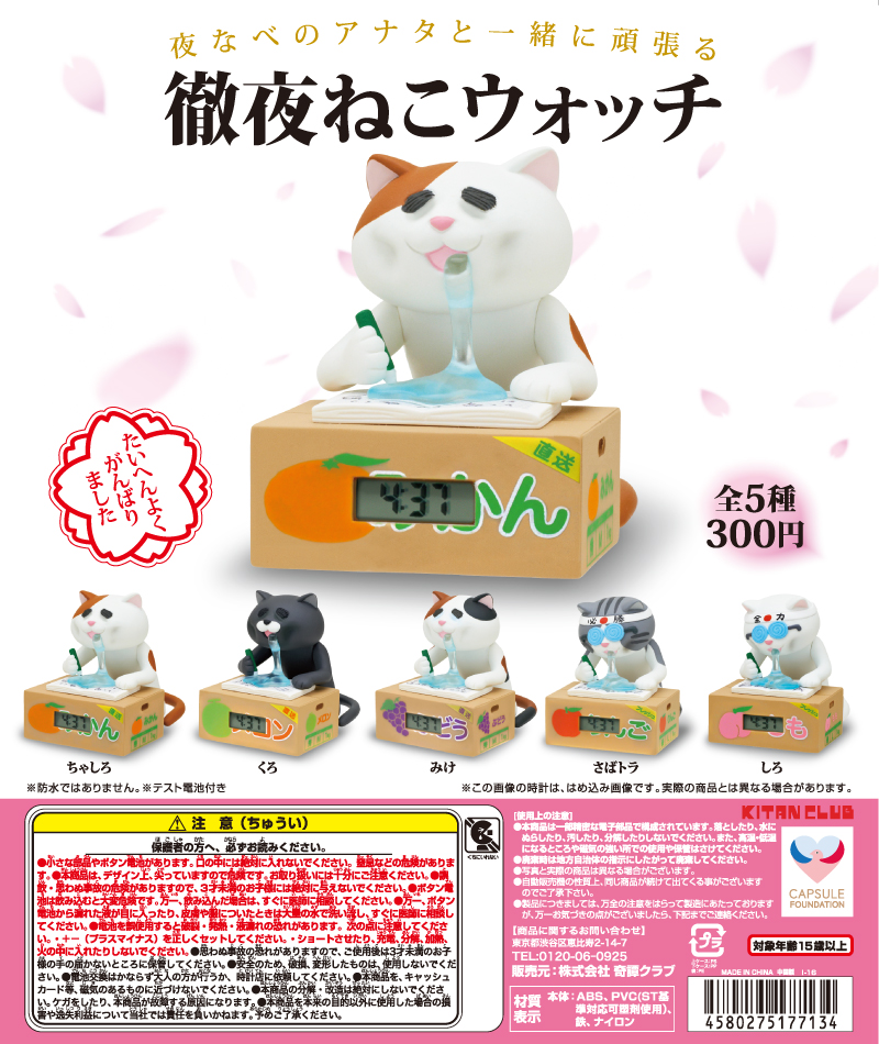 徹夜ねこウォッチ｜株式会社キタンクラブ