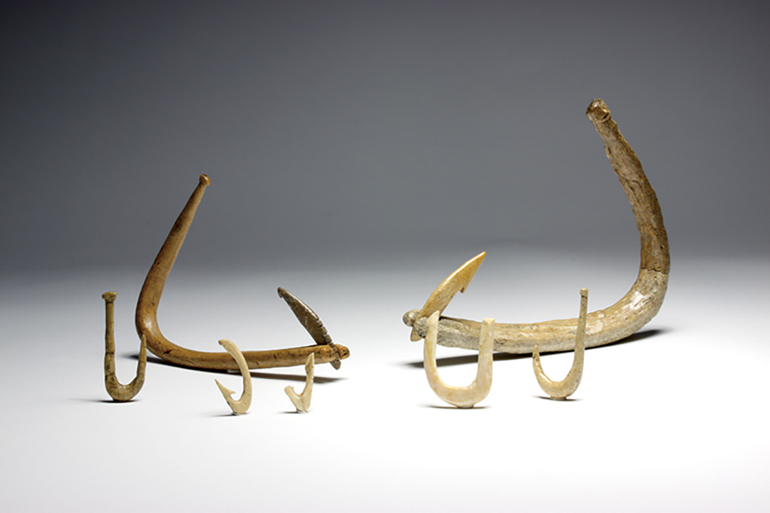 伊是名貝塚ー沖縄県伊是名貝塚の調査と研究ー 伊是名貝塚ー沖縄県