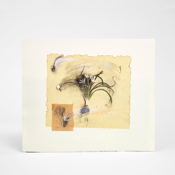 藤浪理恵子 Rieko Fujinami – KON-KON Art Shop