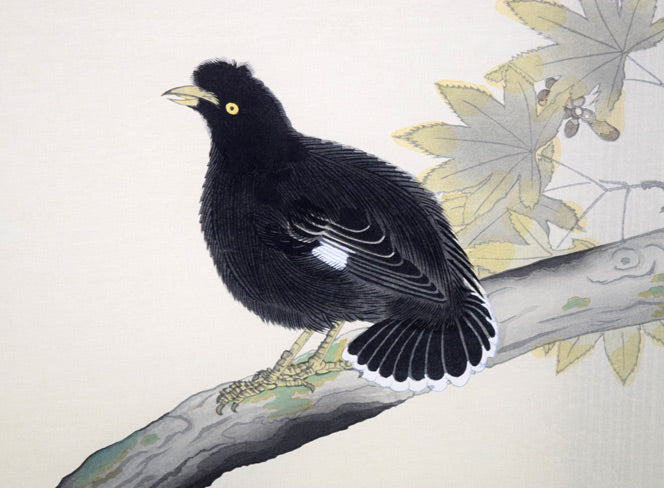 横山大観「叭叭鳥（ハハチョウ）」木版画 絵画買取・販売の小竹美術