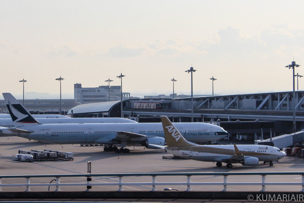 金色のANAカラー！元ゴールドジェットのB737-700 | シテイリョウコウ