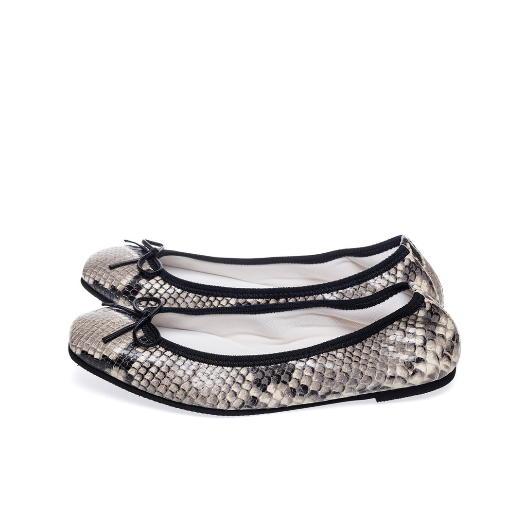 python-e_1080x.jpg?v=1660131802