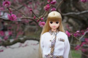 ジェニーボーイフレンド【レイフ】をおむかえ | ちいさなおもちゃばこ