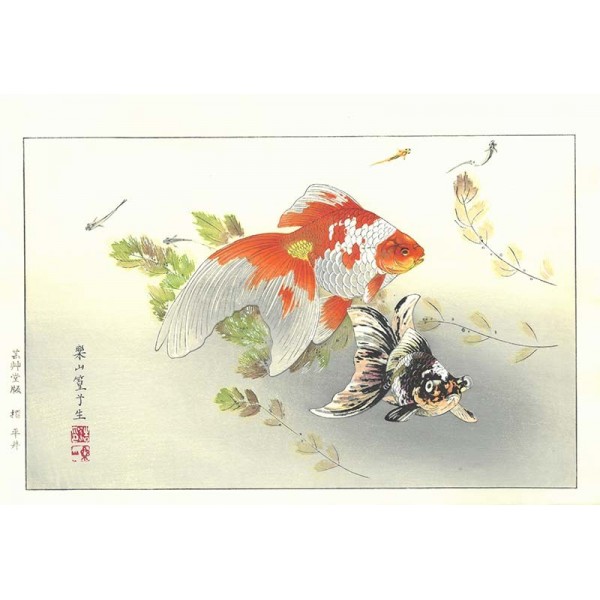 土屋楽山 金魚にメダカ Rakusan（Rakuzan） Tsuchiya | 芸艸堂 版元