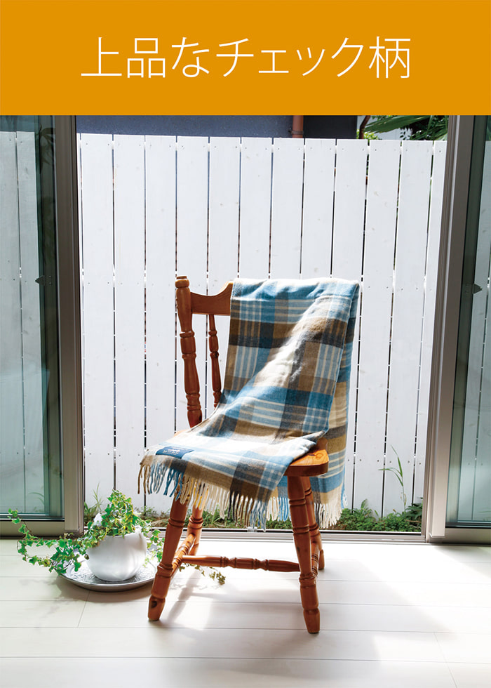 販売終了【アウトレット】MOON電気肩ひざ掛け160x70cmKDH-M483