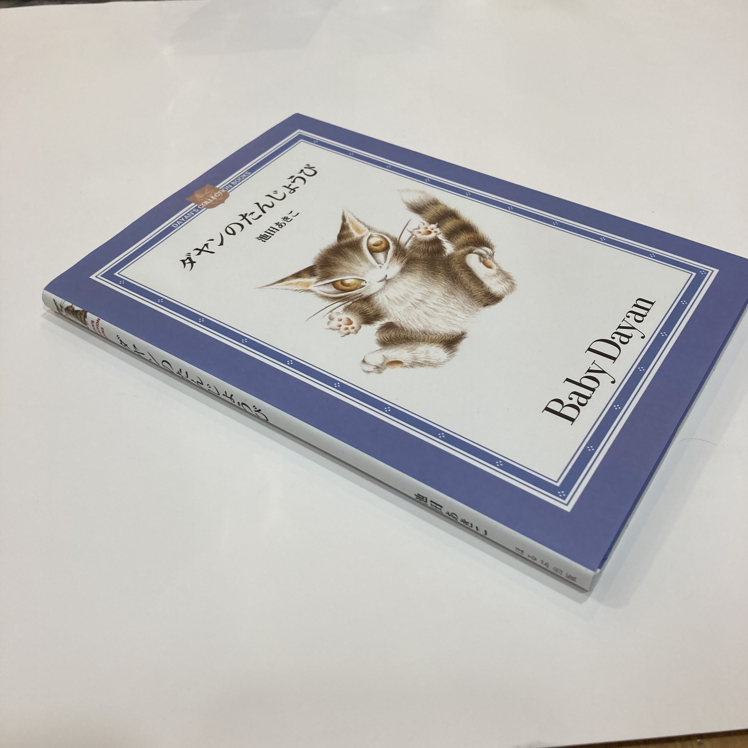 わちふぃーるど新宿ラビリンス店 / ダヤンのたんじょうび ミニ絵本