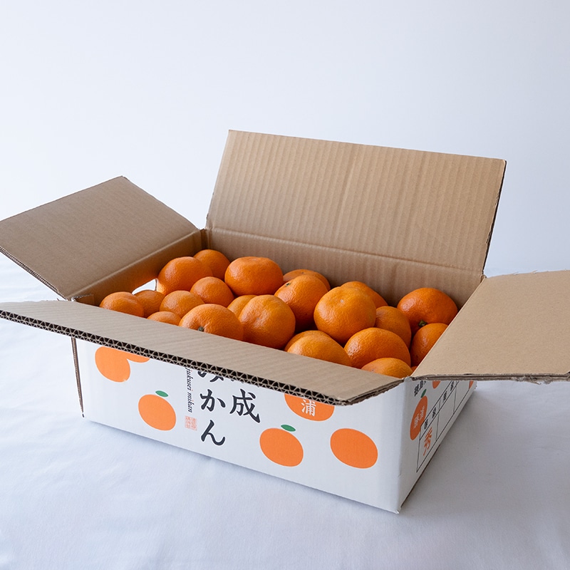 みかん 0709 みかん 2009 Kawasaki Ninja | Art & Speed Classic Car