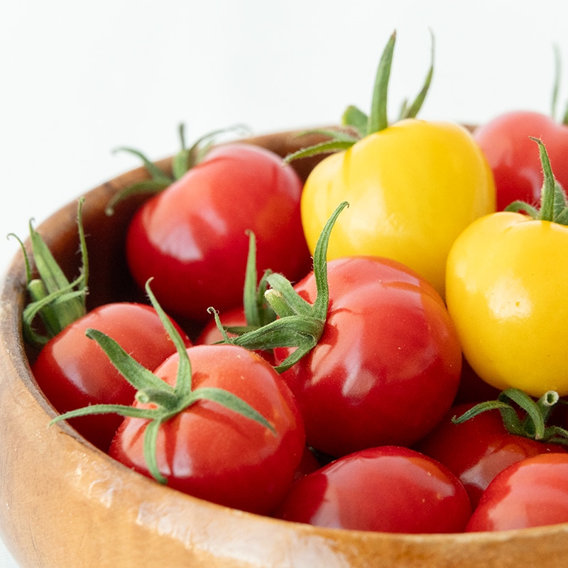 プチぷよBOX（1.2kg） | Lacycle mall（ラシクルモール）