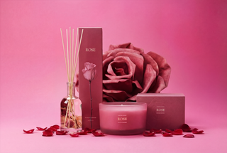 White Iris – Laline CA