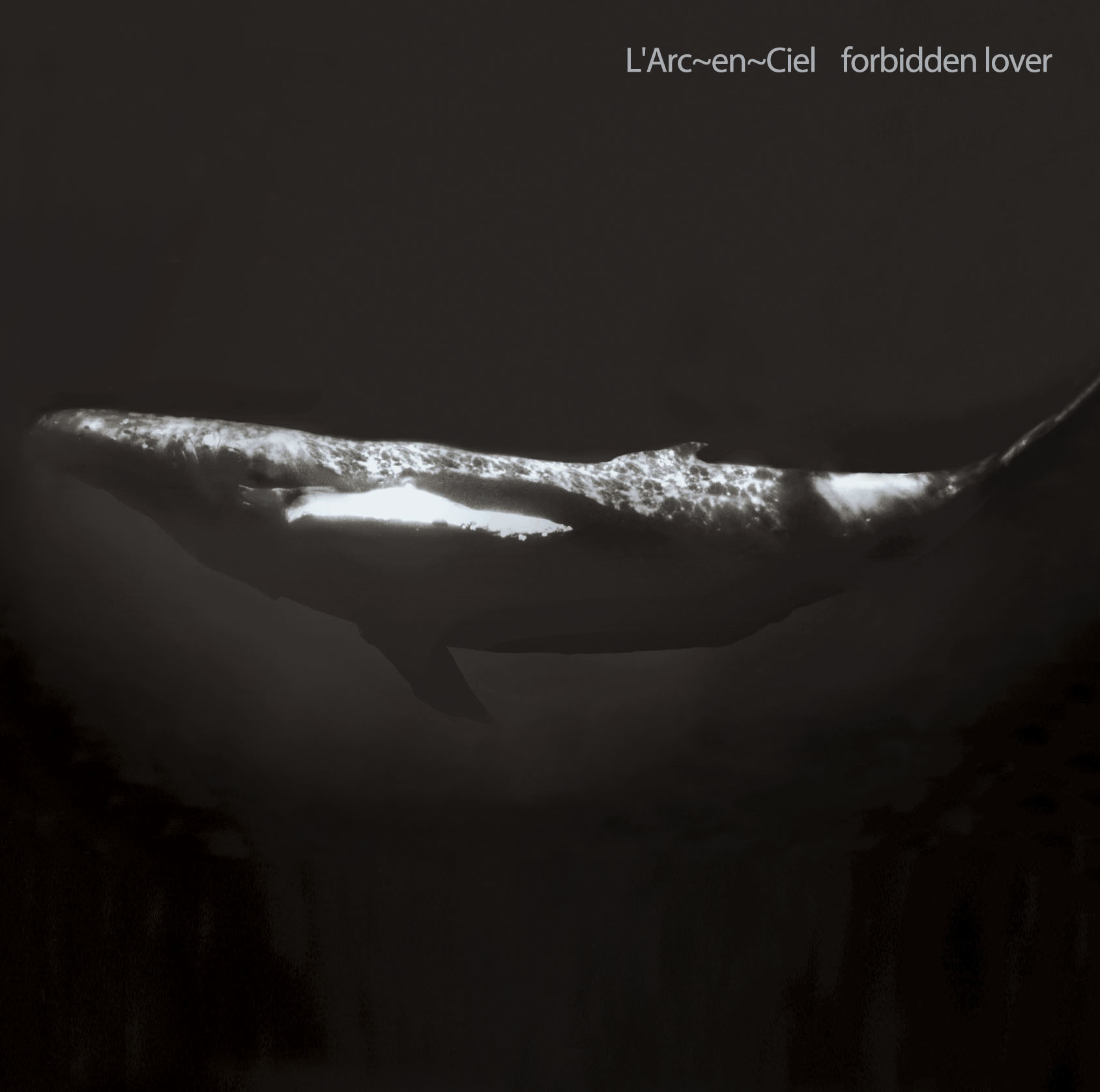 L'Arc-en-Ciel Official Website