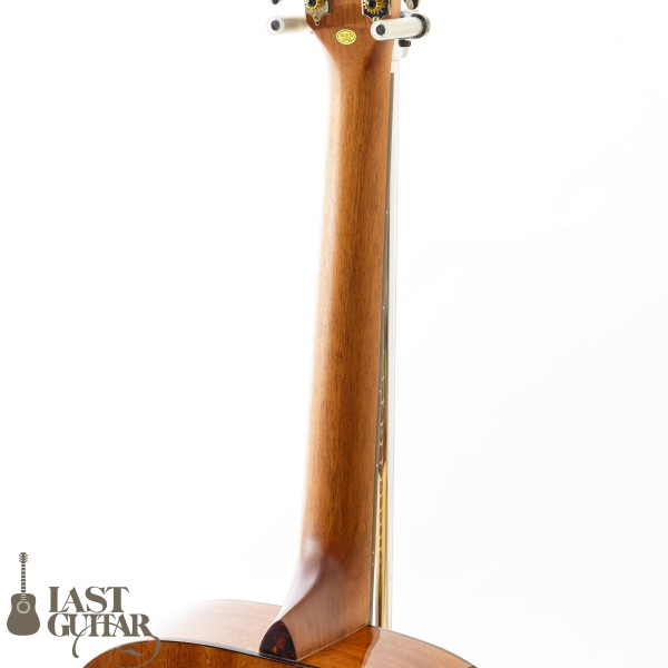 Cat's Eyes CE62T | LAST GUITAR OFFICIAL WEBSITE