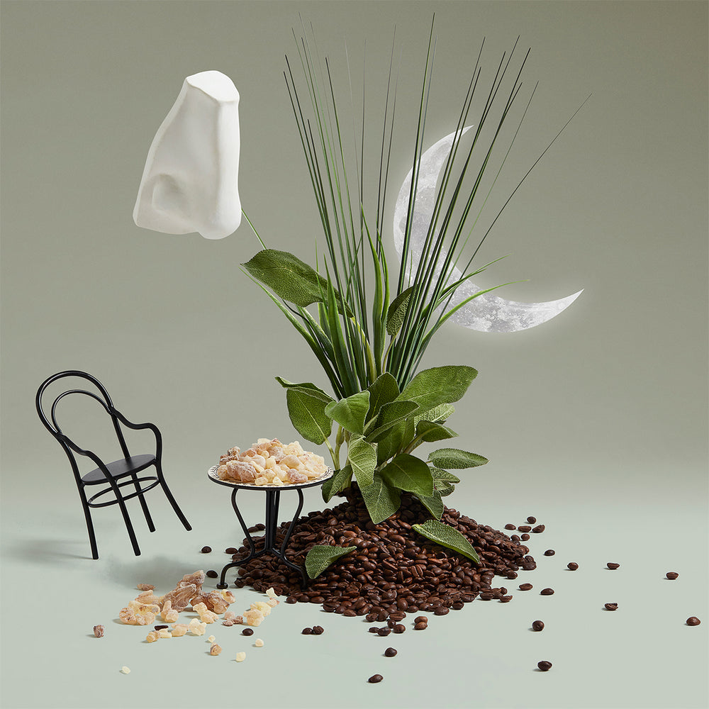 公式】エンディミオン コロン｜ペンハリガン（PENHALIGON'S）｜香水