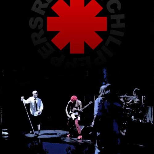 RHCP レッド・ホット・チリ・ペッパーズ / 1990-2000来日 ライブ映像集