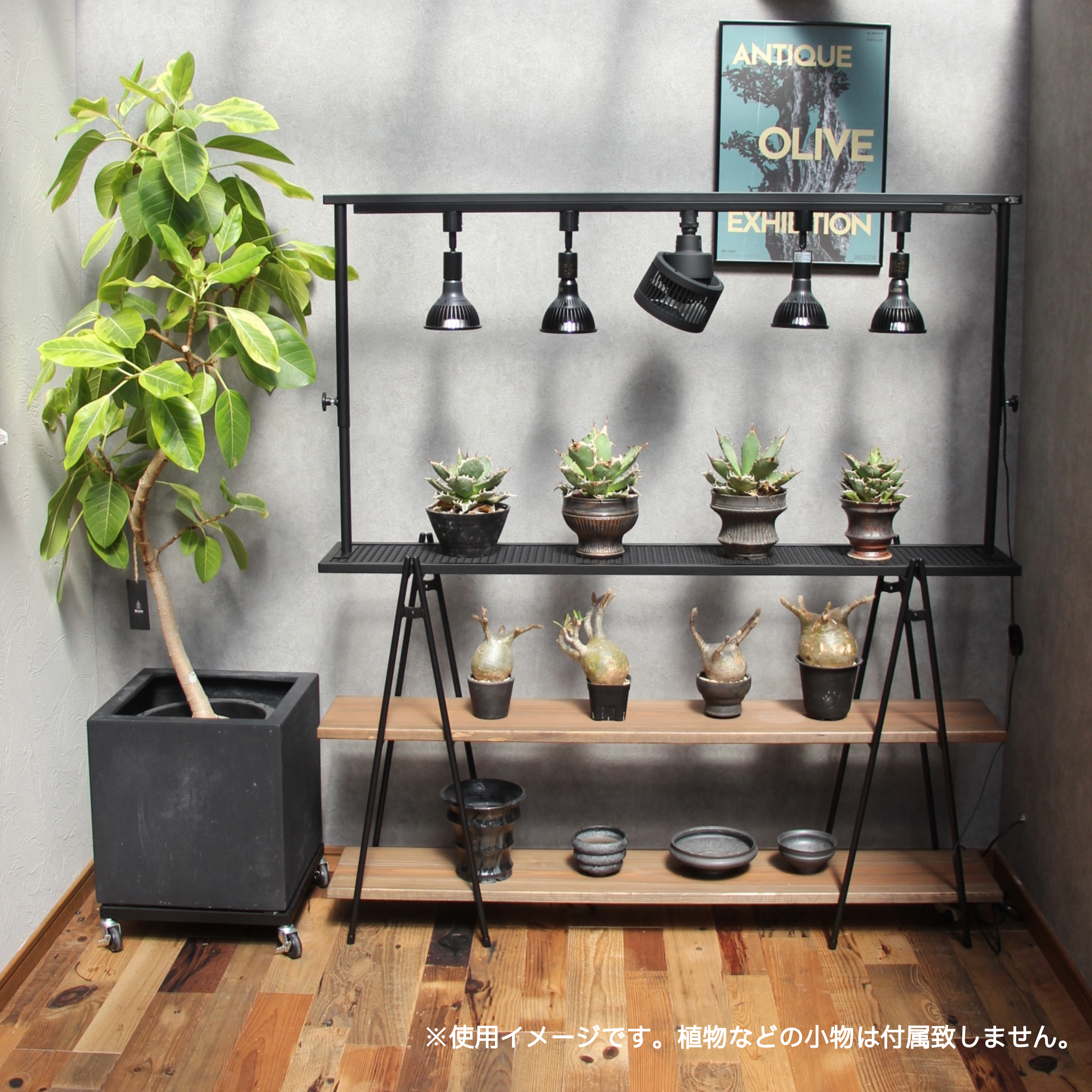 ライトレールスタンド