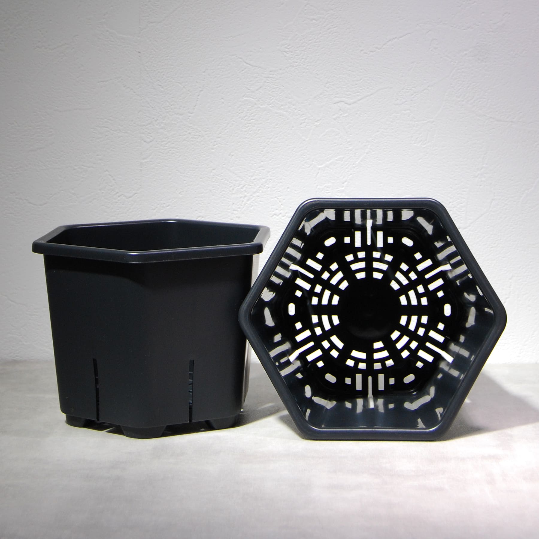 HexaPot（ヘキサポット）六角形プラ鉢 5号相当 – linkplants -リンク