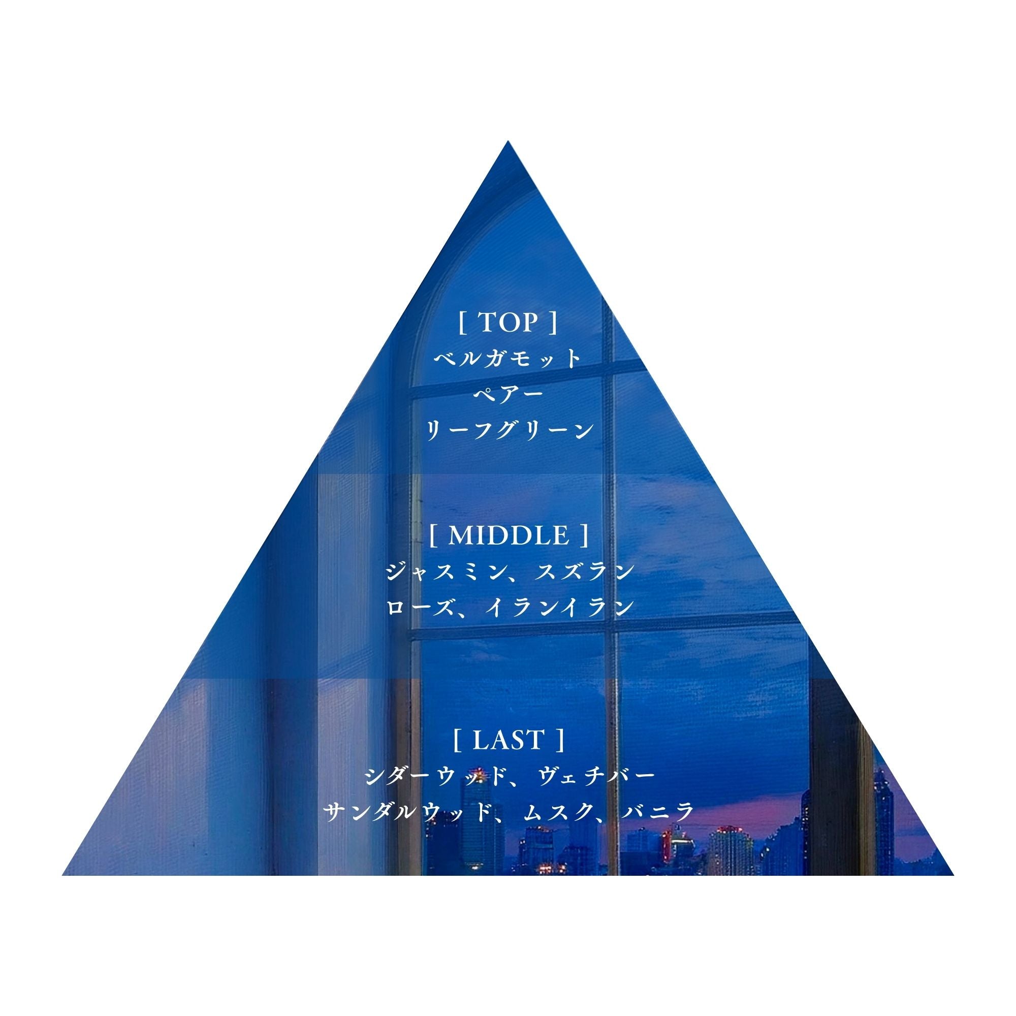 夜明けの読書 – Libroaria