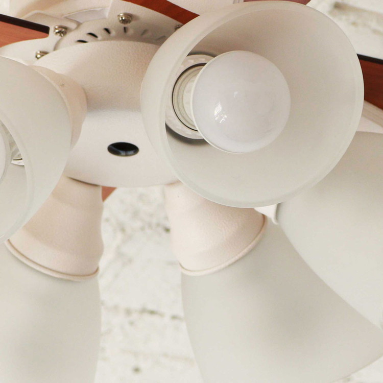 シーリングファン Windouble 6灯 BIG-102 | plusmore(プラスモア)