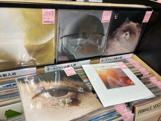 カネコアヤノ/レコード がまとめて入荷しました 2023/05/21 : 千葉でCD