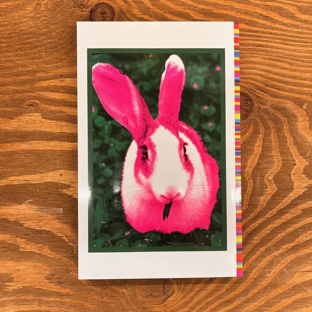 小沢健二「うさぎ！」入荷!! : CD・レコード 販売/買取 ディスク