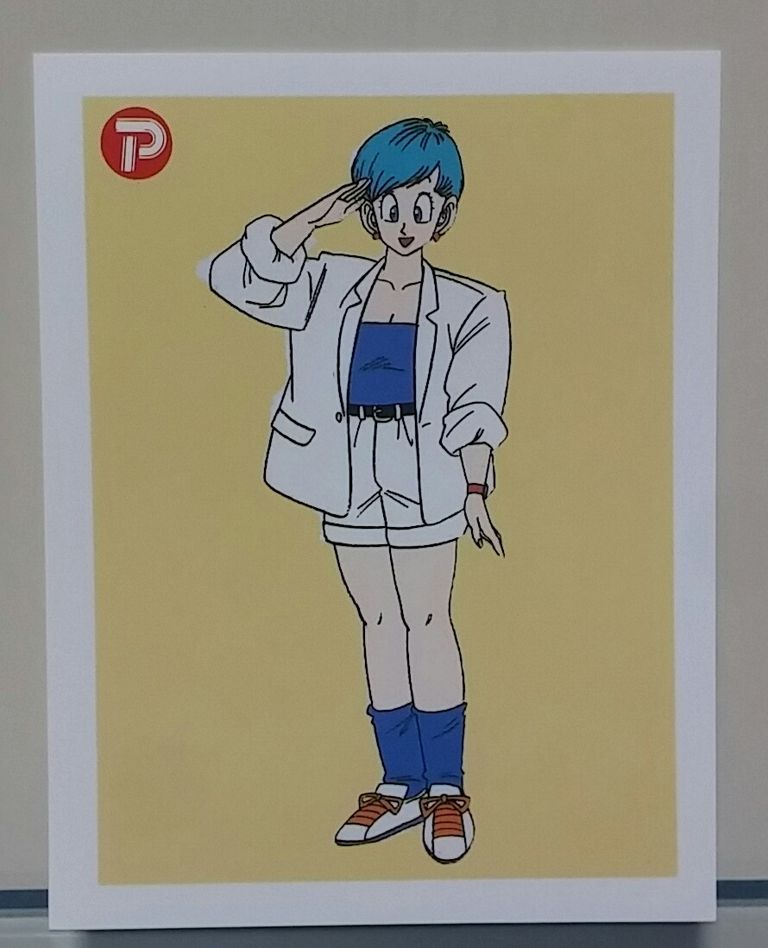 熱で変身‼マジックカード ドラゴンボールZ 大和産業 ポピー