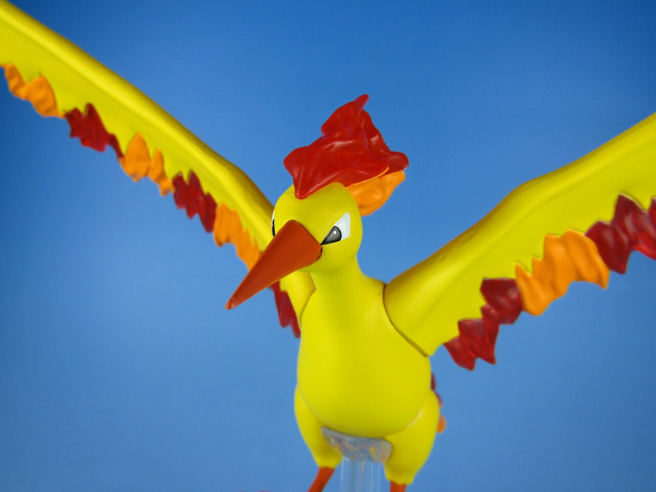 ポケモンスケールワールド カントー地方 フリーザー＆サンダー