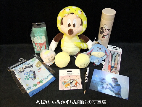 ディズニーストア 2025年のラッキーバッグを購入しました : きよみたん