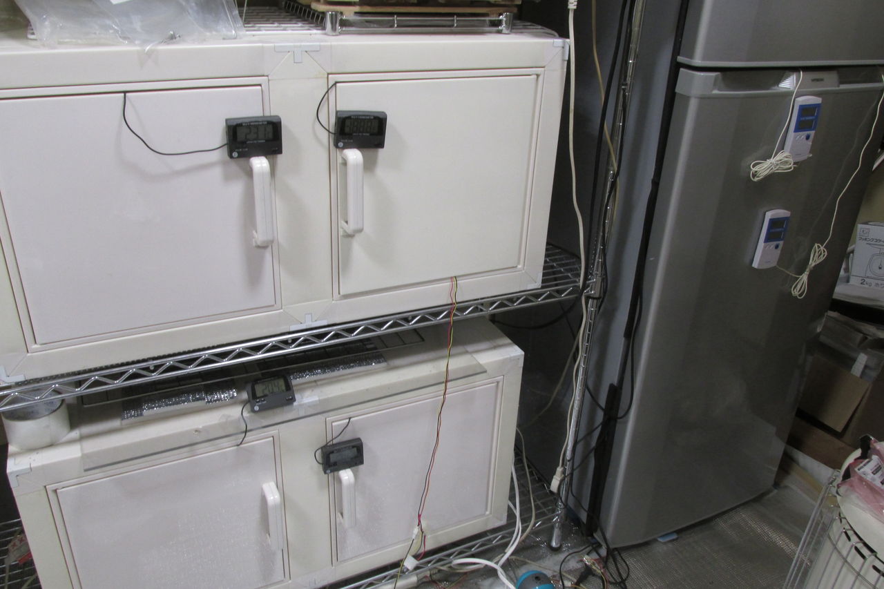 冷やし虫家ジャンク扱い品『明細欄必読』 冷やし虫家ジャンク扱い品