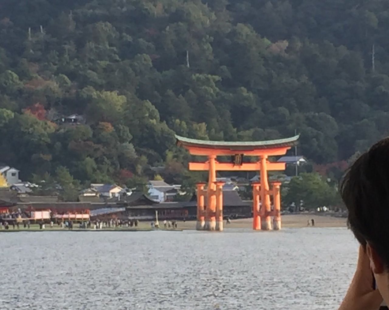 ミュージカル『刀剣乱舞』 in 厳島神社 : TICKET ～舞台に魅了された二