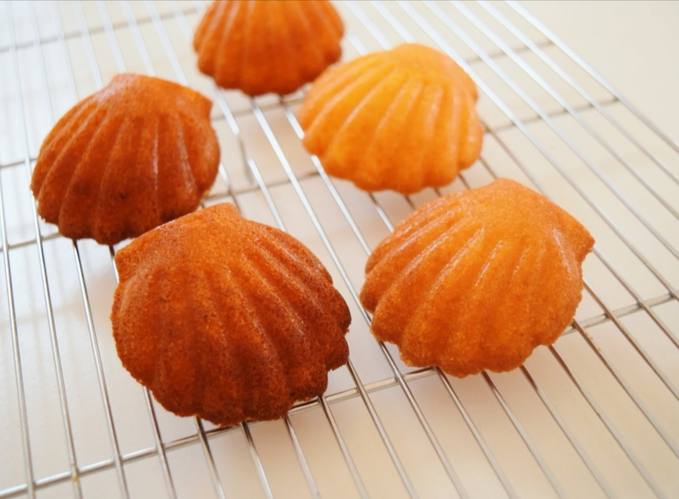 クオカ 新品 ホタテ型製菓型6個 クオカ 使用品 マドレーヌ型8個 クオカ