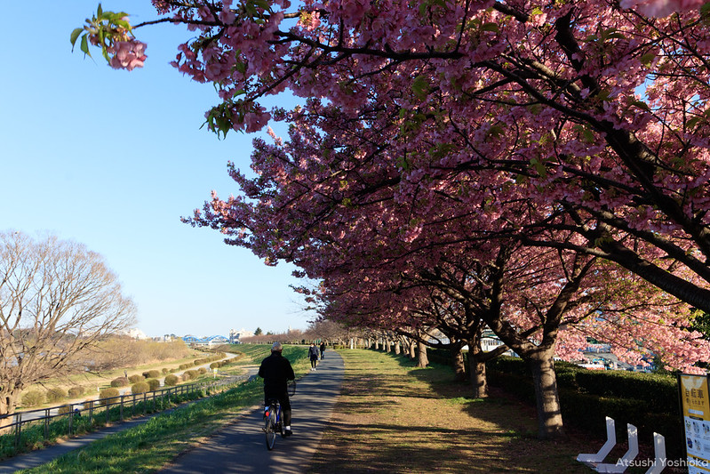 Canon EF-S10-18mm F4.5-5.6 IS STM実写レビュー。はじめての超広角に